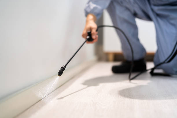 Bed Bug Pre-Treatment Preparation Assessment in Brooklyn Park