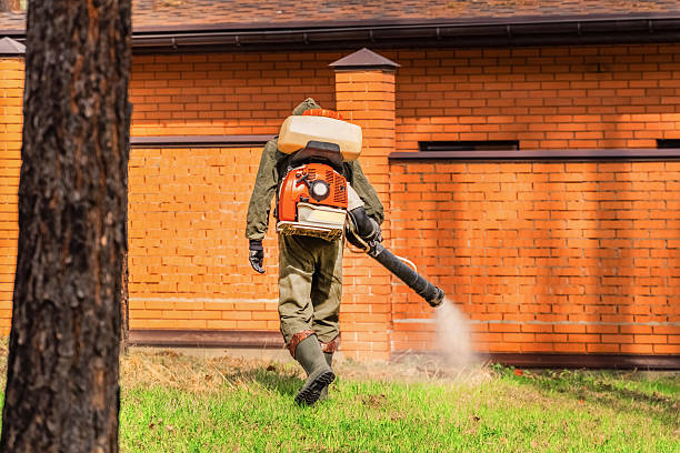 Bed Bug Clearance Verification and Documentation in Brooklyn Park